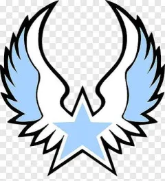 Star Wing