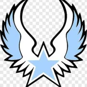 Star Wing